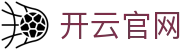 开云（Kaiyun）官方平台 - KAIYUNAPP 品牌卓越移动体育服务接入端